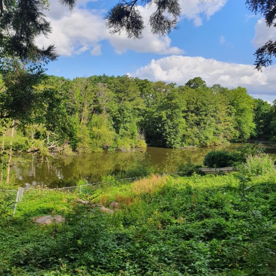 Land for sale • Aston Mead Land and Planning Land with development