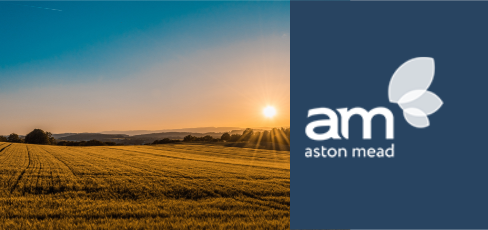 Discover Your Dream Land Development