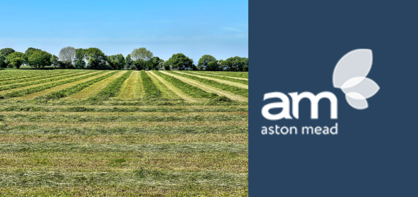 Effect of Land Planning